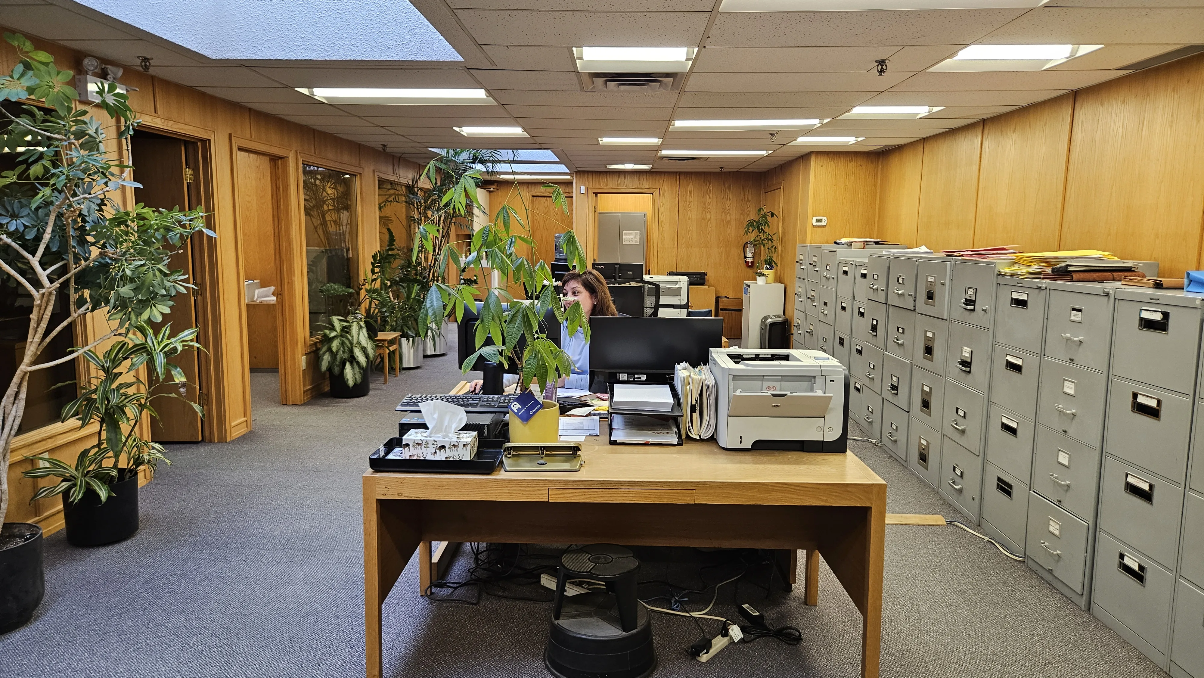 Office building entrance with plant